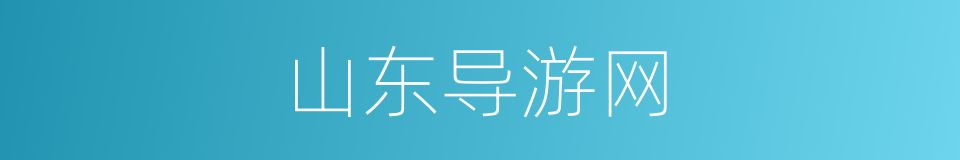 山东导游网的同义词