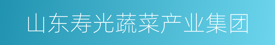 山东寿光蔬菜产业集团的同义词