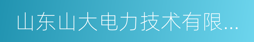 山东山大电力技术有限公司的同义词