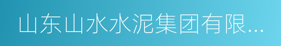 山东山水水泥集团有限公司的同义词