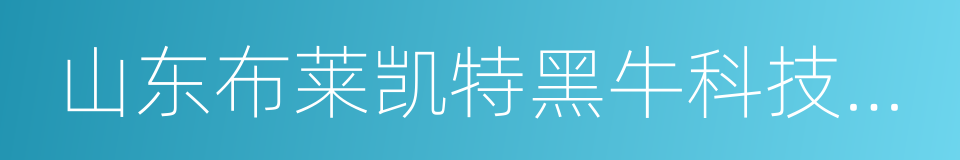 山东布莱凯特黑牛科技股份有限公司的同义词