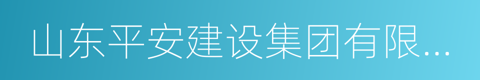 山东平安建设集团有限公司的同义词