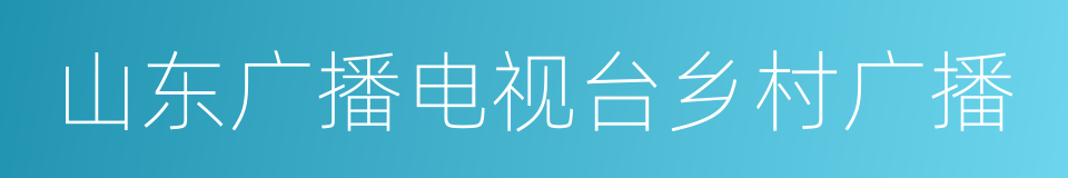 山东广播电视台乡村广播的同义词