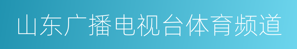 山东广播电视台体育频道的同义词