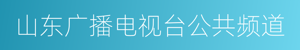 山东广播电视台公共频道的同义词