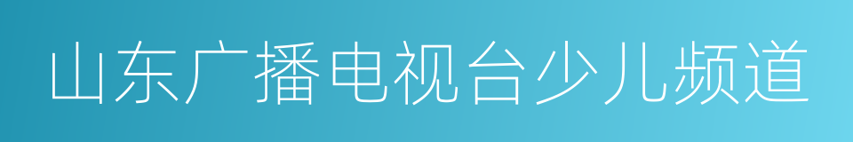 山东广播电视台少儿频道的同义词