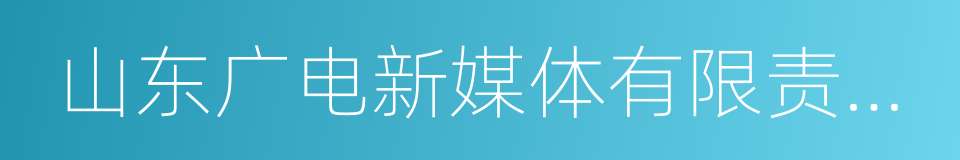 山东广电新媒体有限责任公司的同义词