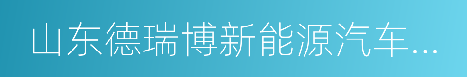 山东德瑞博新能源汽车制造有限公司的同义词