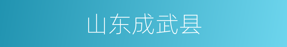 山东成武县的同义词