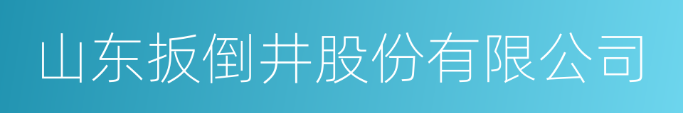 山东扳倒井股份有限公司的同义词