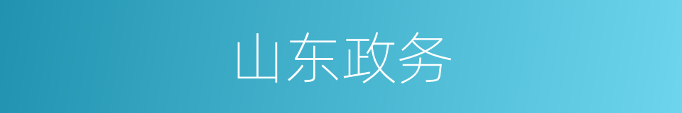 山东政务的同义词