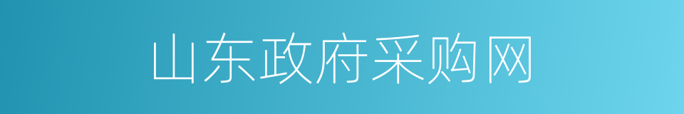 山东政府采购网的同义词