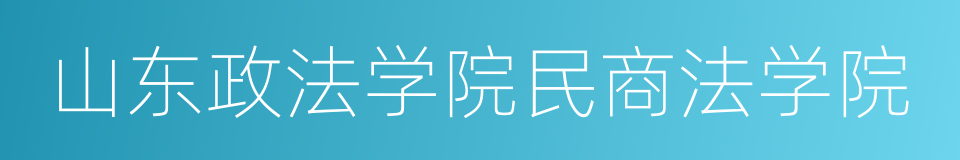 山东政法学院民商法学院的同义词