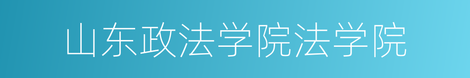 山东政法学院法学院的同义词