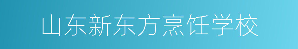 山东新东方烹饪学校的同义词