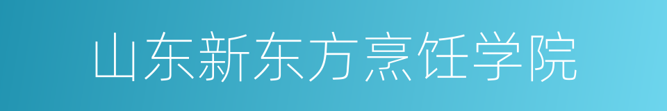 山东新东方烹饪学院的同义词