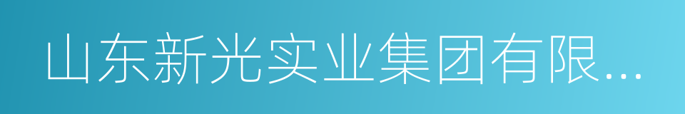 山东新光实业集团有限公司的同义词