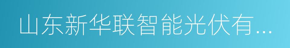 山东新华联智能光伏有限公司的同义词