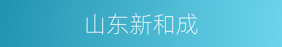 山东新和成的同义词