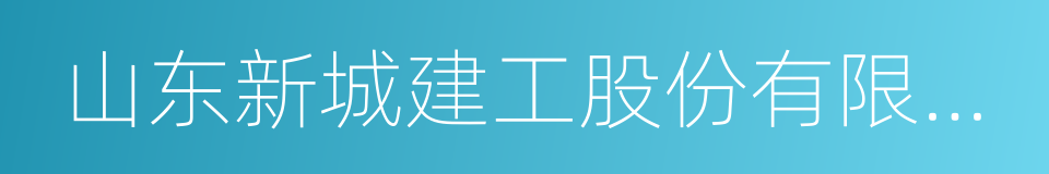 山东新城建工股份有限公司的同义词