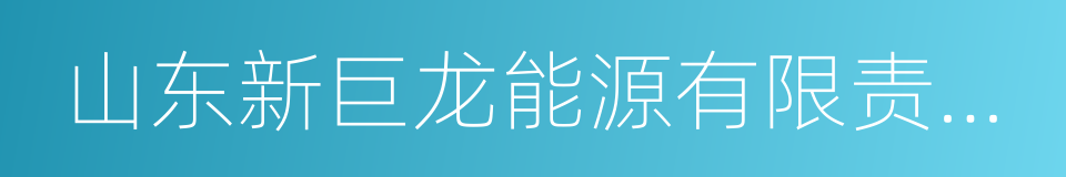 山东新巨龙能源有限责任公司的同义词