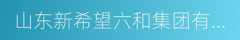 山东新希望六和集团有限公司的同义词