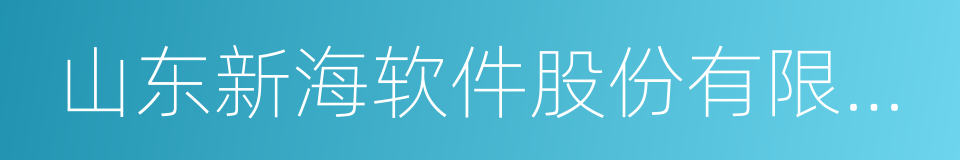 山东新海软件股份有限公司的同义词