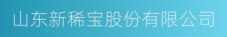 山东新稀宝股份有限公司的同义词