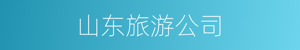 山东旅游公司的同义词