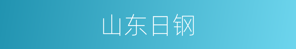 山东日钢的同义词