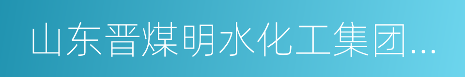 山东晋煤明水化工集团有限公司的同义词