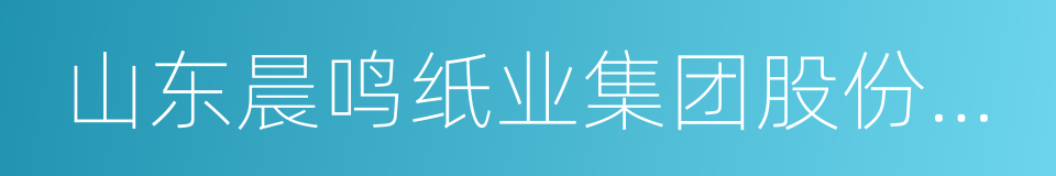 山东晨鸣纸业集团股份有限公司的同义词