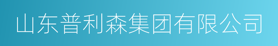 山东普利森集团有限公司的同义词