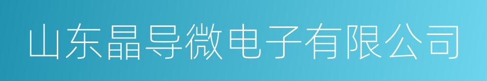 山东晶导微电子有限公司的同义词