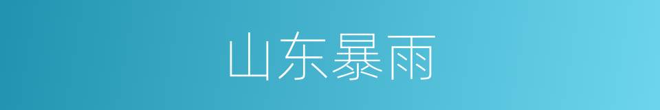 山东暴雨的同义词