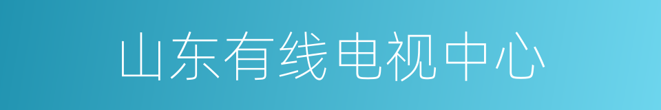 山东有线电视中心的同义词