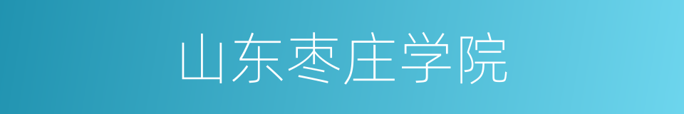 山东枣庄学院的同义词