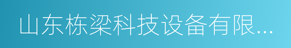 山东栋梁科技设备有限公司的同义词