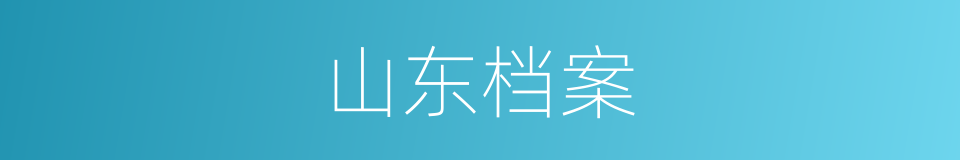 山东档案的同义词