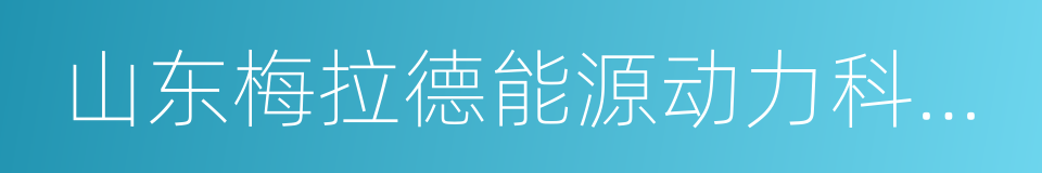 山东梅拉德能源动力科技有限公司的同义词