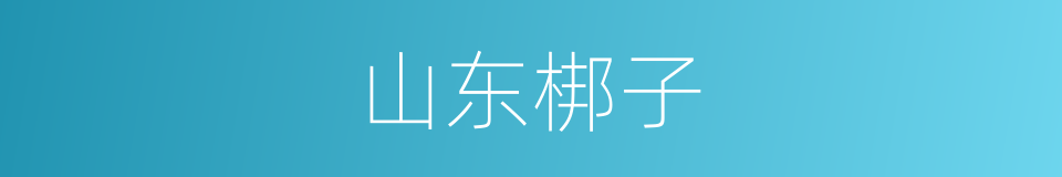 山东梆子的意思