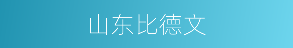 山东比德文的同义词