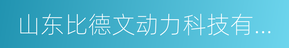 山东比德文动力科技有限公司的同义词