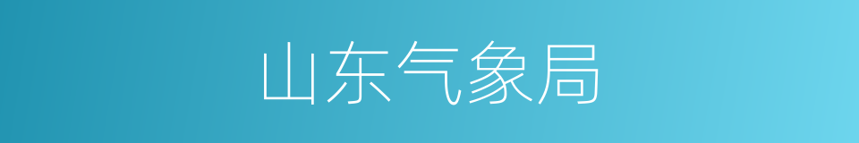 山东气象局的同义词