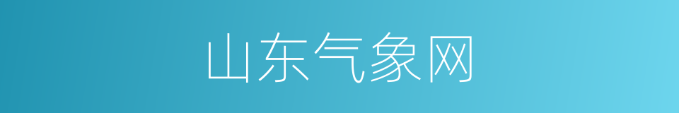 山东气象网的同义词