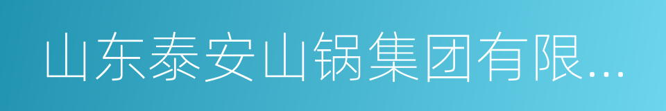 山东泰安山锅集团有限公司的同义词