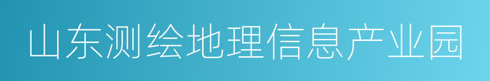 山东测绘地理信息产业园的同义词