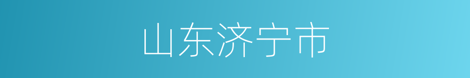 山东济宁市的同义词