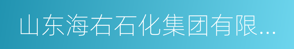 山东海右石化集团有限公司的同义词