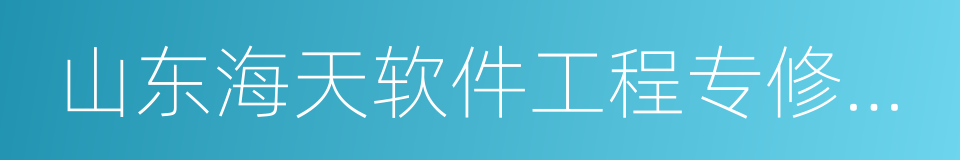 山东海天软件工程专修学院的同义词